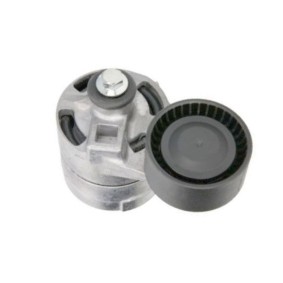 Comprar Tensor de correa poli V de GOOM BT-0063 a bajo precio de 79,49 €