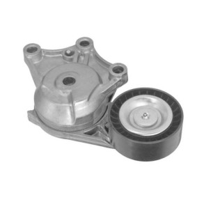 Comprar Tensor de correa poli V de GOOM BT-0074 a bajo precio de 36,19 €