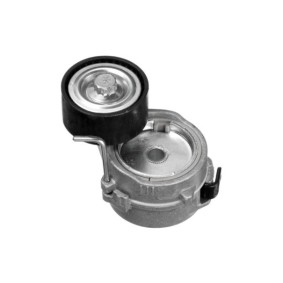 Comprar Tensor de correa poli V de GOOM BT-0075 a bajo precio de 49,46 €