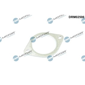 Achetez des Joint d'étanchéité, tuyau d'échappement DR.MOTOR AUTOMOTIVE DRM02506 à prix pour 10,18 €