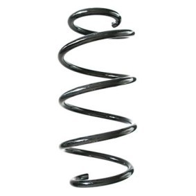 Fahrwerksfeder GKNW10203