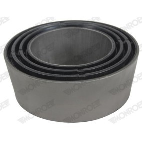 Lagerung, Blattfeder L95L01
