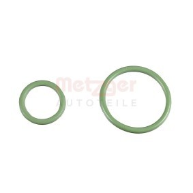 Dichtungssatz, Einspritzpumpe 0873069 FORD C-MAX von METZGER