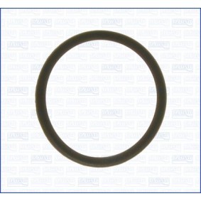 Dichtung, Thermostat 00627900