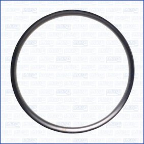 Acquista Anello tenuta, Compressore da AJUSA 01310900 a buon mercato per soli 5,49 €