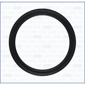 Dichtung, Wasserpumpe 01325900 VOLKSWAGEN TOUAREG von AJUSA