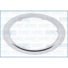 Dichtring, Lader 01329600