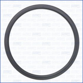 Dichtung, Ölfilter 01516800