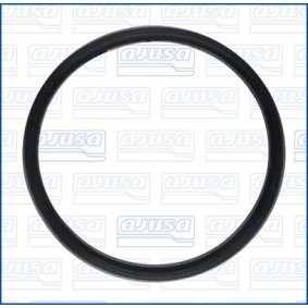 Dichtung, Thermostat 01728800