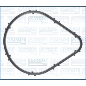 Dichtung, Thermostat 01729600 RENAULT KWID von AJUSA