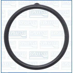 Dichtung, Thermostat 01754100