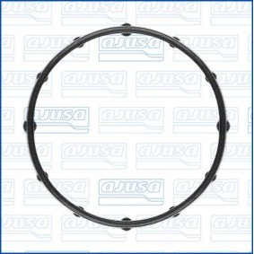 Dichtung, Wasserpumpe 01869300 CADILLAC CT6 von AJUSA