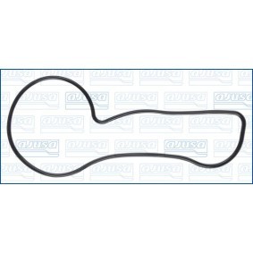 Dichtung, Wasserpumpe 01908300