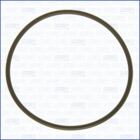 Dichtung Wasserpumpe von AJUSA für Range Rover III (L322) günstig online kaufen