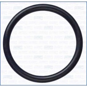 Dichtung, Wasserpumpe 16506100 FORD TOURNEO CUSTOM von AJUSA