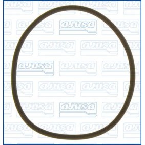 Dichtung, Thermostatgehäuse 16520500