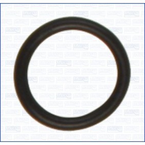 Dichtung, Thermostat 16525400 AUDI A7 von AJUSA