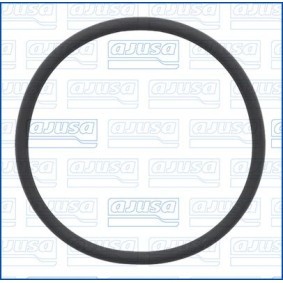 Dichtung, Thermostat 16537300