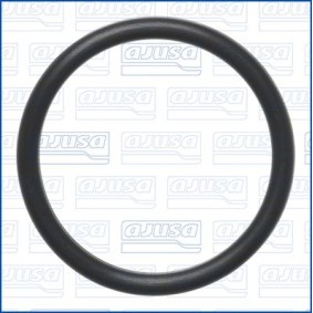 Dichtung, Wasserpumpe 16547700 PEUGEOT 2008 von AJUSA
