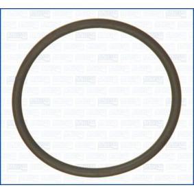 Achetez des Joint pompe à eau de chez AJUSA en ligne pour Mark II Mk9 Berline (X110) à prix modérés