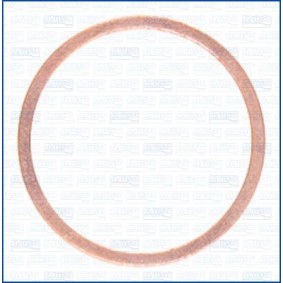 Dichtring, Einspritzventil 21037400