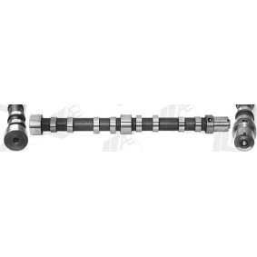 Achetez des Arbre à came AE CAM1055 à prix pour 183,06 €