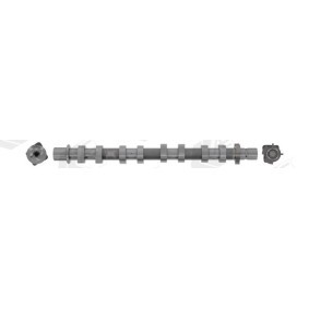 Acquista Albero a camme da AE CAM1064 a buon mercato per soli 206,43 €