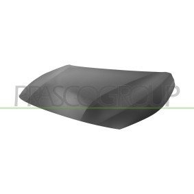 Motorhaube PG3303130