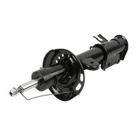 Compre Amortecedor da MAXGEAR 11-1552 a um preço baixo por 73,85 €