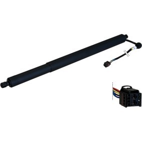Heckklappendämpfer EJR100