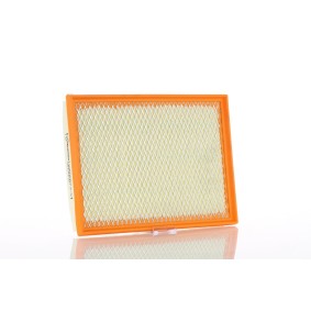 Kjøp Luftfilter av PZL Filters WA50587 til den lave prisen 141,88 NOK