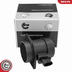 Luftmassenmesser (LMM) 07SKV389