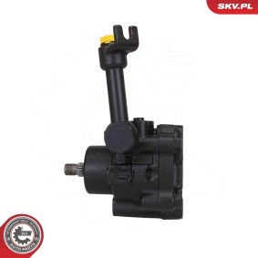 Servopumpe 10SKV328