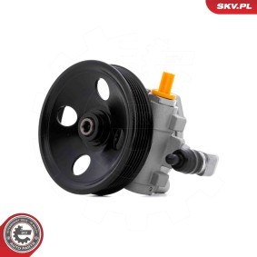 Servopumpe 10SKV335