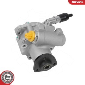 Servopumpe 10SKV337