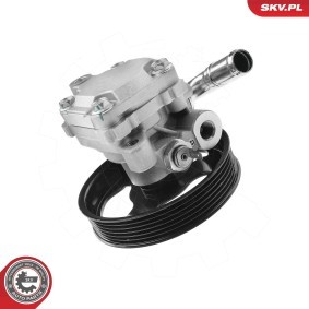 Servopumpe 10SKV341