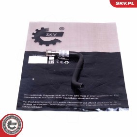 Servopumpe 10SKV342
