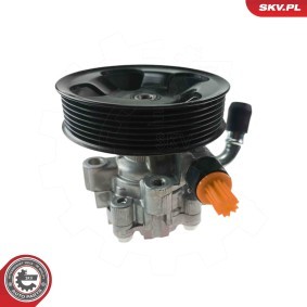 Servopumpe 10SKV346