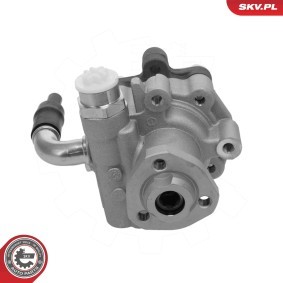 Servopumpe 10SKV347
