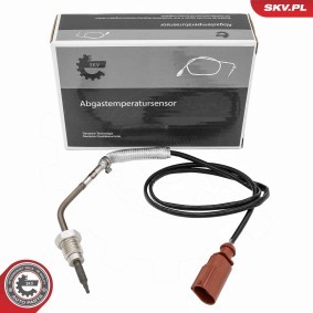 Köp Avgastempgivare av ESEN SKV 30SKV484 till det låga priset 905,85 kr