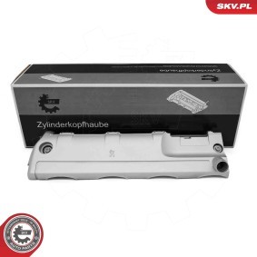 Achetez des Cache-culbuteur ESEN SKV 48SKV165 à prix pour 262,54 €