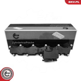 Achetez des Cache-culbuteur ESEN SKV 48SKV168 à prix pour 191,67 €