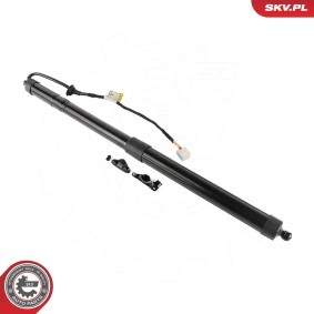 Köp Elmotor, baklucka av ESEN SKV 52SKV262 till det låga priset 1697,58 kr
