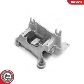 Lagerung, Automatikgetriebe 75SKV807