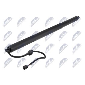 Heckklappe-Motor AE-HY-052 von NTY günstig für 150,29 € online kaufen