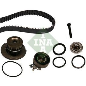 Achetez des Kit de distribution + pompe à eau INA 530 0004 31 à prix pour 113,96 €