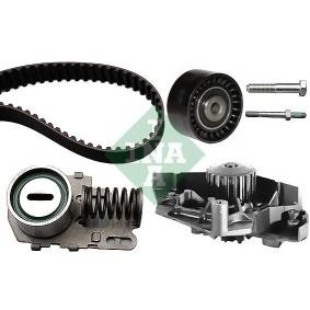 Achetez des Kit de distribution + pompe à eau INA 530 0076 30 à prix pour 605,48 €