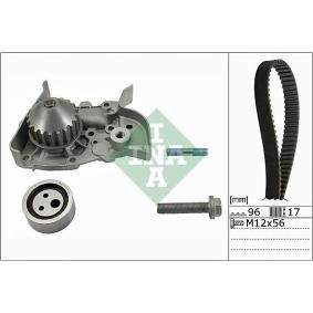 Achetez des Kit de distribution + pompe à eau INA 530 0191 30 à prix pour 87,17 €