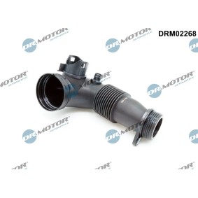 Ansaugschlauch, Luftfilter DRM02268