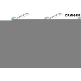 Acquista Regolatore albero a camme da DR.MOTOR AUTOMOTIVE DRM02457 a buon mercato per soli 160,99 €
